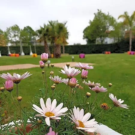 I Giardini Del Novecento Hotel Lamezia Terme