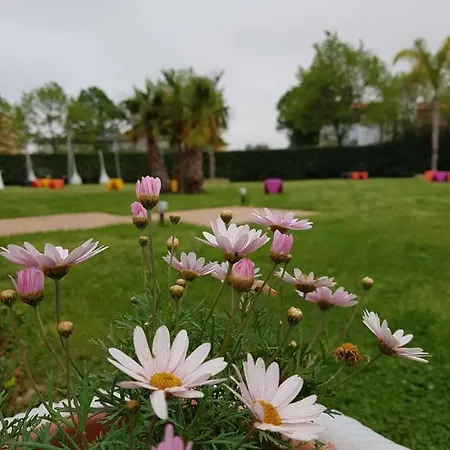 I Giardini Del Novecento Lamezia Terme